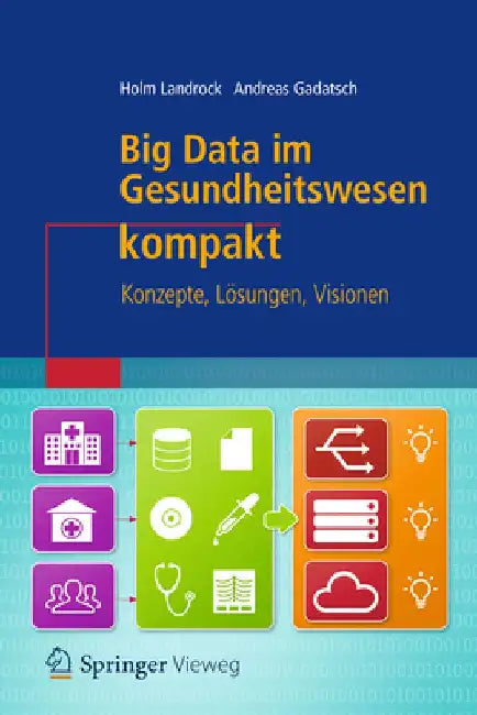 Big Data Im Gesundheitswesen Kompakt: Konzepte, Lösungen, Visionen by Holm Landrock