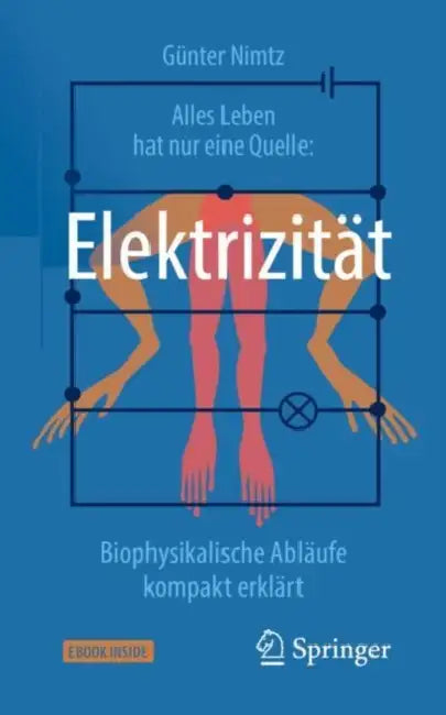 Alles Leben Hat Nur Eine Quelle: Elektrizität: Biophysikalische Abläufe Kompakt Erklärt by Günter Nimtz