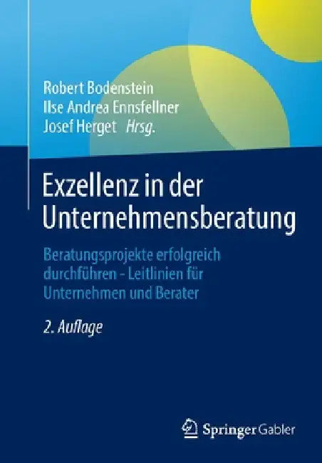 Exzellenz in Der Unternehmensberatung: Beratungsprojekte Erfolgreich Durchführen - Leitlinien Für Unternehmen Und Berater by Robert Bodenstein