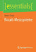 Riccati-Messsysteme by Reiner Thiele
