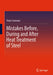 Mistakes Before During and After Heat Treatment of Steel by Sommer, Peter