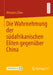 Die Wahrnehmung Der Südafrikanischen Eliten Gegenüber China by Mengshu Zhan
