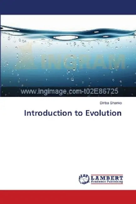 Introduction to Evolution by Diriba Shanko