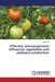 Effective microorganisms influences vegetables and soybeans production by Olle Margit