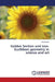 Golden Section and non-Euclidean geometry in science and art by Bodnar Oleg