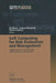 Soft Computing for Risk Evaluation and Management: Applications in Technology, Environment and Finance by Da Ruan