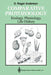 Comparative Protozoology: Ecology, Physiology, Life History by Orvil Roger Anderson