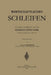 Wirtschaftliches Schleifen by Georg Schlesinger