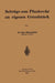 Beiträge Zum Pfandrecht Am Eigenen Grundstück by Otto Hirschfeld