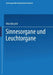 Sinnesorgane Und Leuchtorgane by Otto Bütschli
