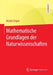 Mathematische Grundlagen Der Naturwissenschaften by Michel Chipot