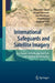 International Safeguards and Satellite Imagery: Key Features of the Nuclear Fuel Cycle and Computer-Based Analysis by Bhupendra Jasani