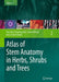 Atlas of Stem Anatomy in Herbs, Shrubs and Trees: Volume 2 by Fritz Hans Schweingruber