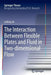 The Interaction Between Flexible Plates and Fluid in Two-Dimensional Flow by Laibing Jia
