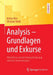 Analysis - Grundlagen Und Exkurse: Mehrdimensionale Integralrechnung Und Ihre Anwendungen by Adrian Hirn, Christian Weiß