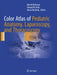 Color Atlas of Pediatric Anatomy, Laparoscopy, and Thoracoscopy by Merrill McHoney