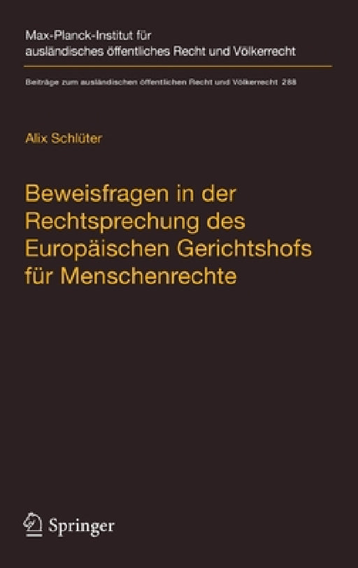 Beweisfragen in Der Rechtsprechung Des Europäischen Gerichtshofs Für Menschenrechte by Alix Schlüter