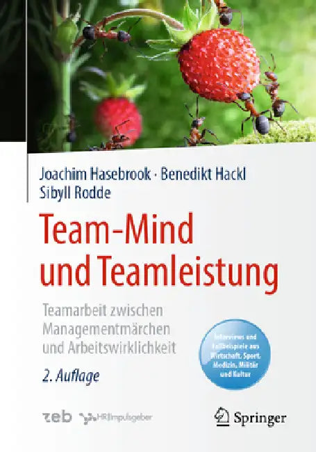 Team-Mind Und Teamleistung: Teamarbeit Zwischen Managementmärchen Und Arbeitswirklichkeit by Joachim Hasebrook, Benedikt Hackl, Sibyll Rodde