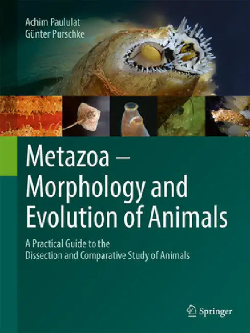 Metazoa - Morphology and Evolution of Animals: A Practical Guide to the Dissection and Comparative Study of Animals by Achim Paululat