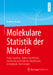 Molekulare Statistik Der Materie: Fluide Systeme, Äußere Kraftfelder, Chemische Und Nukleare Reaktionen, Astrophysik, Kosmologie by Andreas Heintz