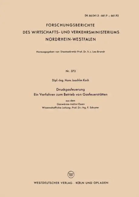 Druckgasfeuerung Ein Verfahren Zum Betrieb Von Gasfeuerstätten by Hans Joachim Koch