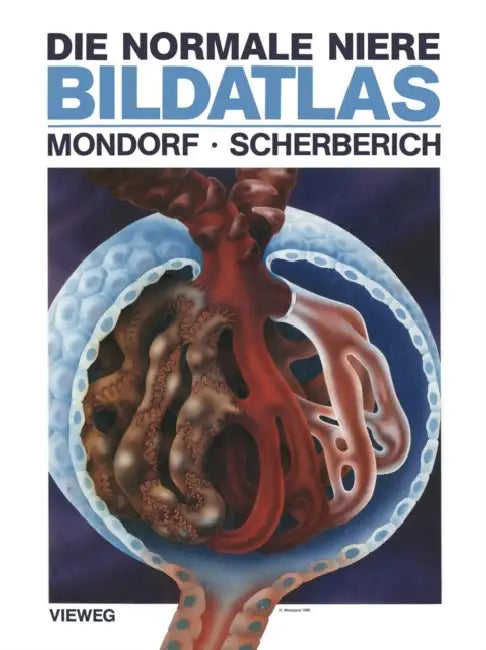 Die Normale Niere Bildatlas by A. Werner Mondorf