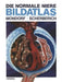 Die Normale Niere Bildatlas by A. Werner Mondorf
