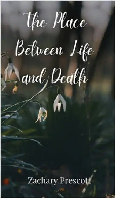 The Place Between Life and Death by Prescott, Zachary