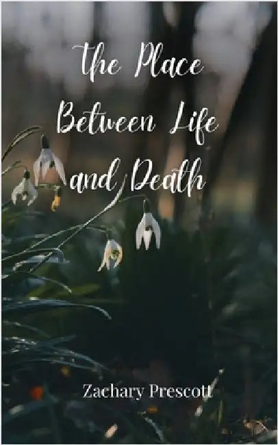The Place Between Life and Death by Zachary Prescott