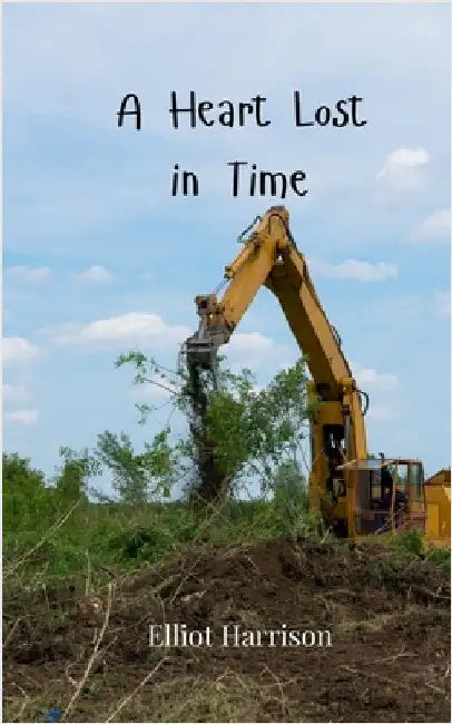 A Heart Lost in Time by Harrison, Elliot