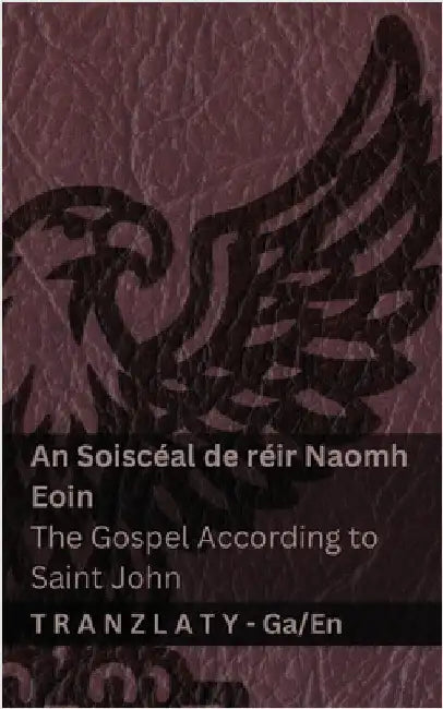 An Soiscéal de réir Naomh Eoin / The Gospel According to Saint John (An Bíobla / The Bible): Tranzlaty Gaeilge English by Kjv