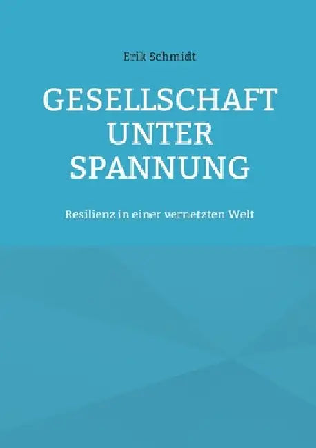 Gesellschaft unter Spannung: Resilienz in einer vernetzten Welt by Erik Schmidt