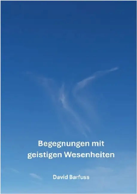 Begegnungen mit geistigen Wesenheiten: Ein spannendes Buch voller interessanter Geschichten und lehrreichen Erkenntnissen über die geistige Welt by Barfuss, David