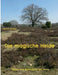 Die Magische Heide by Wolf E. Matzker