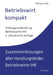 Betriebswirt kompakt: Zusammenfassung aller Handlungsfelder Geprüfte Betriebswirte IHK by Michael Fischer