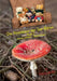 Die Abenteuer der See-Bären: Band 2 by Andreas Schneller, Gerhard Kisser