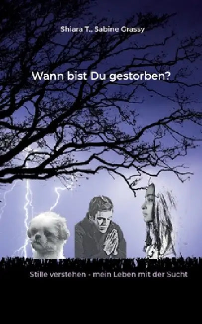 Wann bist Du eigentlich gestorben?: Stille verstehen - mein Leben mit der Sucht by Shiara T, Sabine Grassy