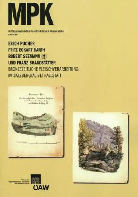 Bronzezeitliche Fleischverarbeitung Im Salzbergtal Bei Hallstatt by Fritz Eckart Barth, Franz Brandstatter, Erich Pucher