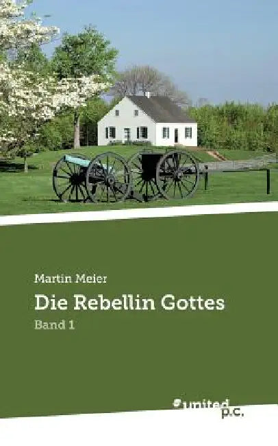 Die Rebellin Gottes: Band 1 by Martin Meier