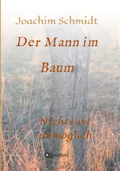 Der Mann im Baum: Nichts ist unmöglich by Joachim Schmidt