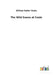 The Wild Swans at Coole by William Butler Yeats