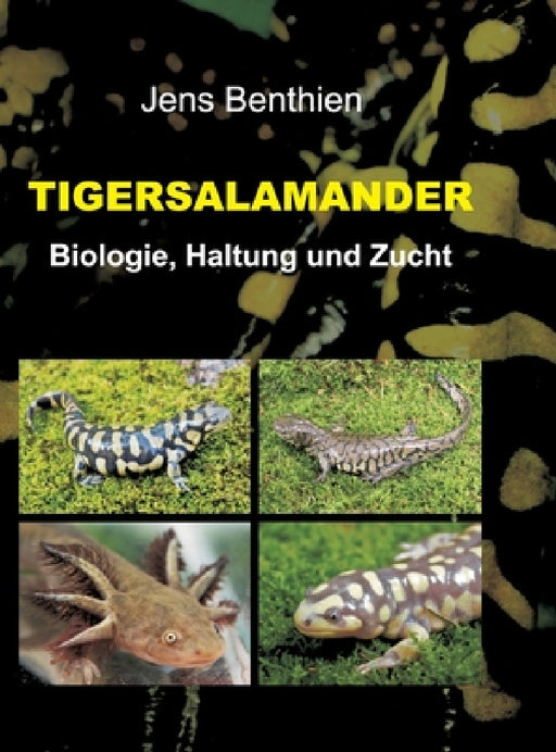 Tigersalamander: Biologie, Haltung und Zucht by Jens Benthien
