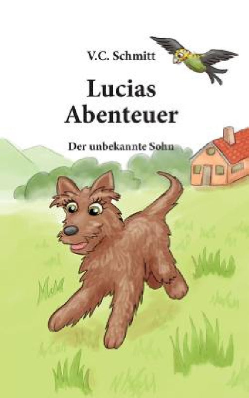 Lucias Abenteuer: Der Unbekannte Sohn by V. C. Schmitt