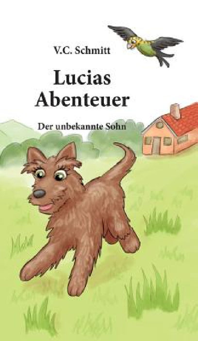 Lucias Abenteuer: Der Unbekannte Sohn by V. C. Schmitt