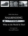 Nalbinding - What in the World Is That?: History and Technique of an Almost Forgotten Handicraft by Ulrike Claßen-Büttner
