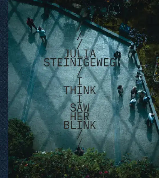 Julia Steinigeweg: I Think I Saw Her Blink by Julia Steinigeweg