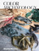 Beatriz Morales: Color Archaeology by Beatriz Morales