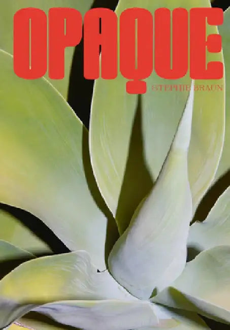 Stephie Braun: Opaque by Stephie Braun