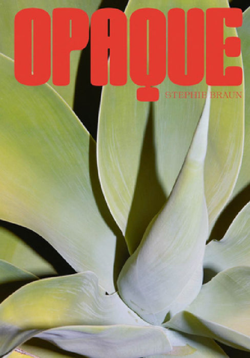 Stephie Braun: Opaque by Stephie Braun