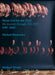 Michael Wesely and Michael Biedowicz: My Journey Through Die Zeit by Michael Biedowicz